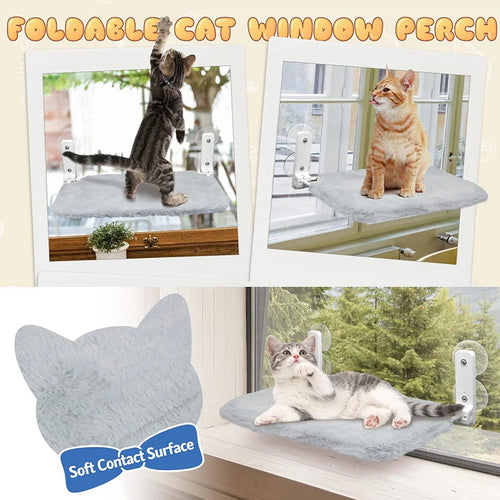 cat window perch